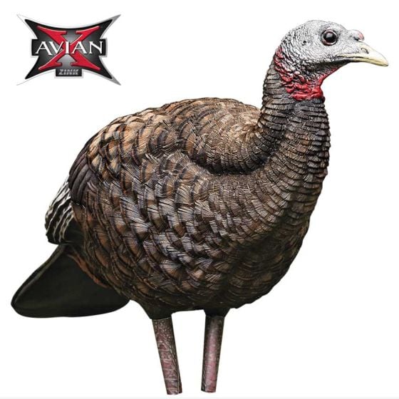 AvianX-LCD-Breeder-Hen-Decoy