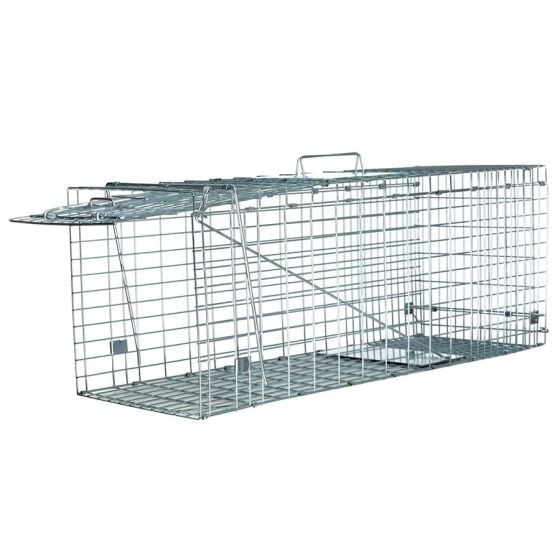 Fuzion-Raccoon-Galvanized-Trap