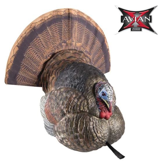 Appelant-à-dindon-se-pavanant-Avian X-LCD-Strutter