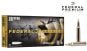 300-Weatherby-Magnum-Ammunitions