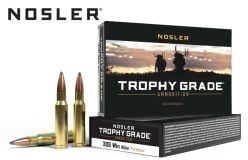 Munitions-Nosler-308-Win