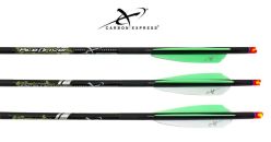 Carbon-Express-20''-Lighted-Crossbolts