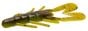 Bullfrog