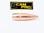 Boulets CamPro 308 147 gr FMJ SBT