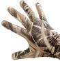 CTR Shadowgrass Mistral Glove Liner