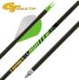 Flèches de Chasse Gold Tip Hunter XT 500 6/pqt