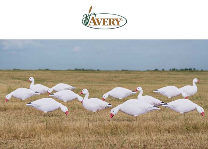 Silhouette-Snow-Goose-Decoys