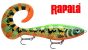 Peacook rapala x-rap otus