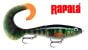 Rapala-X-Rap-Otuslive-perch