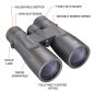 Bushnell-Legend-12x50mm-Binoculars