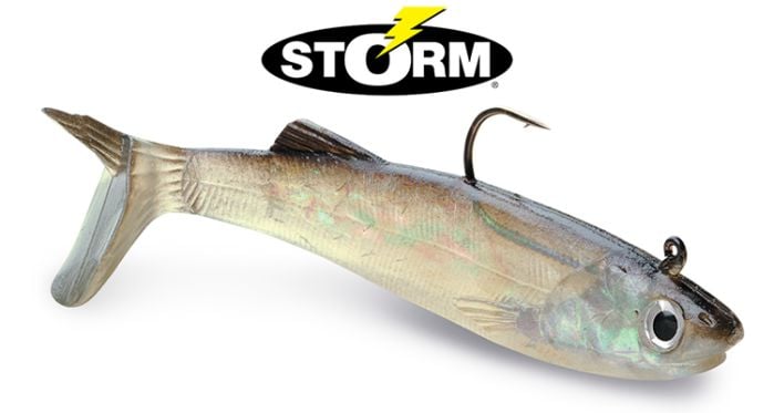 Storm-WildEye-Live-Anchovy-Soft-Bait