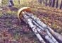 Skidding-Cone-For-Logs