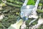 Double-Steel-Pulley-Swing-Side
