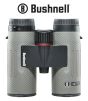 Jumelles-Nitro-10x36mm 