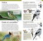 guide-de-poche-oiseaux-du-quebec-et-du-canada-french