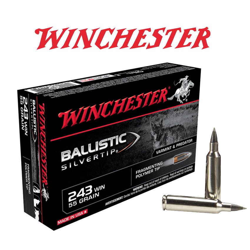 Ballistic-243-Winchester-Ammunitions.