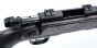 Savage-B.MAG-Beavertail-17-WSM