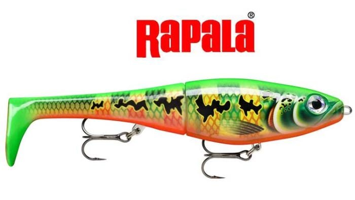 Rapala-X-Rap-peto-8''-Lure-Peacock