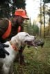 browning-classic-webbing-dog-collar-orange