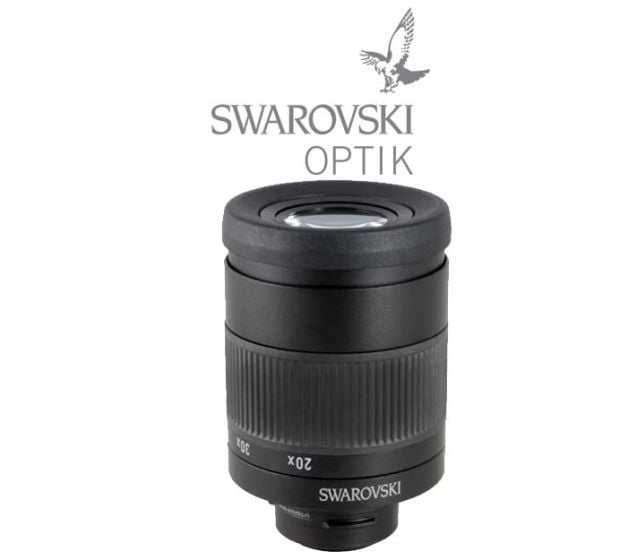 Oculaire-20-60x-Swarovski-Optik
