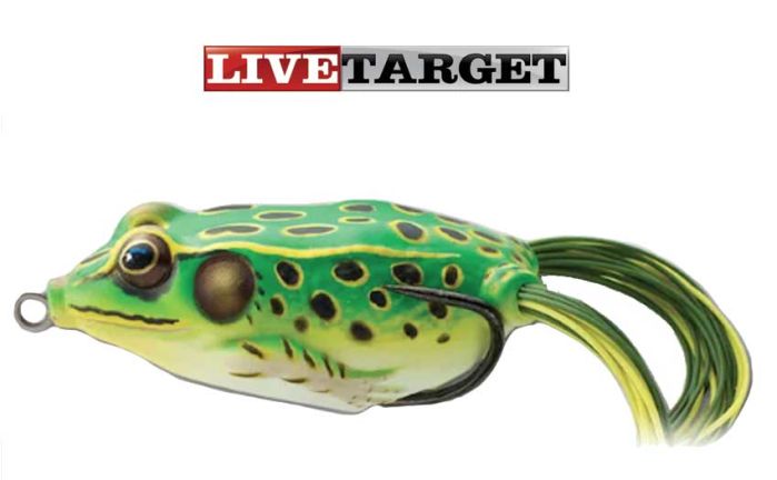 Live Target-Fluo Green-Yellow-Hollow-Body-Frog 