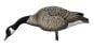 Avian X-Honkers-Fusion-Pack-Decoys