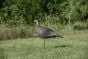 Hunters Specialties Strut-Lite Hen Turkey Decoy