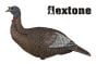 Turkey-chick-Upright-Decoys