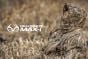 Fusil Beretta A300 Ultima Realtree Max-7 20 ga. 28''