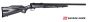 Savage-B.MAG-Beavertail-17-WSM
