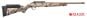 Ruger-Rimfire-17-HMR-18''
