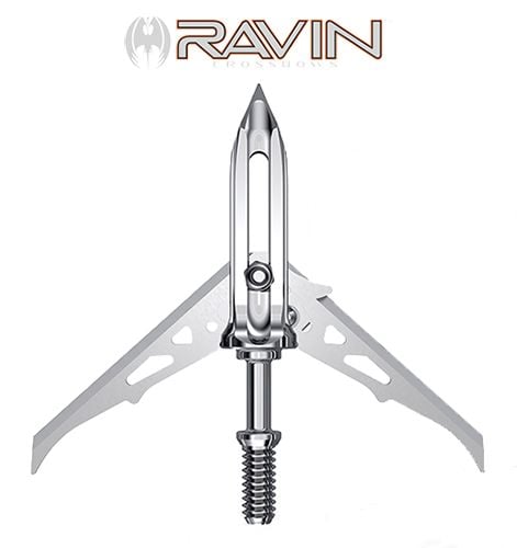 Pointes-de-chasse-Ravin-Steel