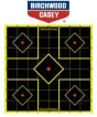 Birchwood-Casey-Shoot-N-C®-Targets
