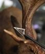 g5-montec-broadheads-