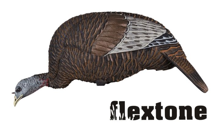 Turkey-chick-feeding-Decoys