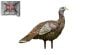 Avian X LCD Lookout Turkey Turkey Decoy