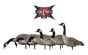 Avian X-Honkers-Fusion-Pack-Decoys