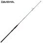 Canne Spinning Team Daiwa Surf 10' (3,05 m) Moyenne-Forte Rapide 2 pces