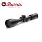 Burris Fullfield 2.5-10x42 1 in Riflescope