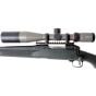 Carabine Usagée Savage 11 243 Win 22''