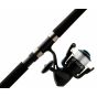 Ensemble Surf Spinning Shakespeare Tiger 9' Pour Pêche