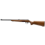 Winchester Xpert Sporter 22 LR 18" Rifle