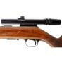 Carabine Usagée Browning T-Bolt 22 LR 24''