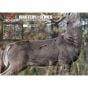 30-06-outdoors-masters-series-whitetail-targets
