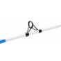 Ensemble Surf Spinning Shakespeare Tiger 9' Pour Pêche