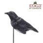 Expedite-Cawlin-Crow-Decoy
