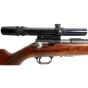 Carabine Usagée Browning T-Bolt 22 LR 24''