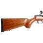 Fusil à Poudre Noire Thompson Center Black Diamond .50 Cal 23''