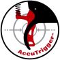 SAVAGE - 93R17 GV 17 HMR - RIFFLE