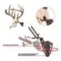Allen-EZ-Mount-Trophy-Skull-Hanger-Brown